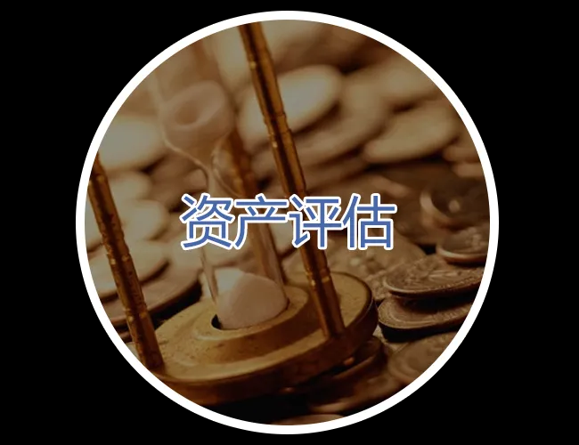 成都评估机构电话 资产评估 财务 成都评估机构电话 资产评估 财务