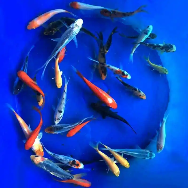 成都自然资源鉴定评估 海洋环境污染评估 成都自然资源鉴定评估 海洋环境污染评估