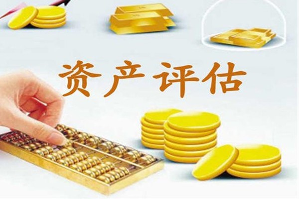 成都专业出各类资产评估报告,审计报告,验咨报告,专项审计 工程造价 成都专业出各类资产评估报告,审计报告,验咨报告,专项审计 工程造价